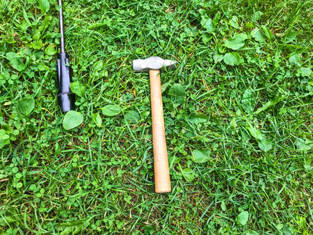 there is a hammer and a screwdriver on the grass. tools for repairs are laid out on the lawn. hammer...