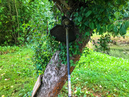 a lawn mower stands near a tree. a grass mowing machine is standing near an apple tree, waiting for...
