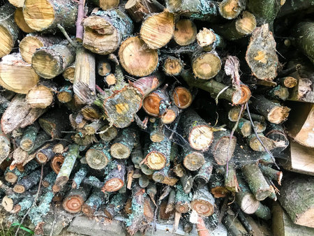 firewood for home heating is stacked in an even pile. wood texture. logs, firewood are stacked next...