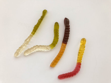 marmalade worms. gelatinous worms, multi-colored. white-green and yellow-brown worm crawl together...