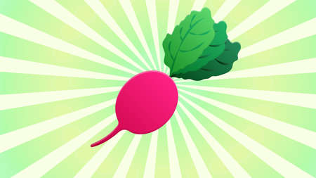radish on a white-green retro background, vector illustration. orange oblong radish, a healthy vegetable for salads. healthy food for weight loss. natural farm product. vegetables from the garden.のイラスト素材
