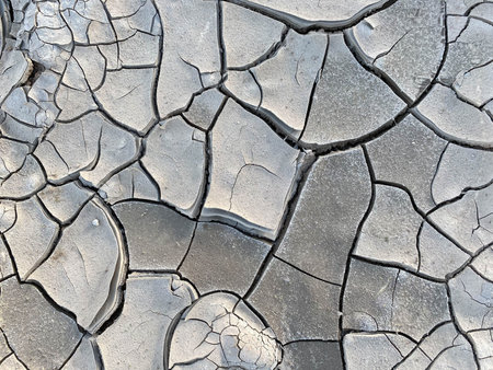 Dry gray cracked earth or clay desert textured background, closeup.の写真素材