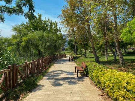 Luxury landscape design of the tropical garden. Beautiful view of tropical landscape.の写真素材