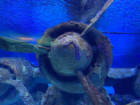 A Japanese Jake seaplane on the seafloor of Palaus lagoon.の写真素材