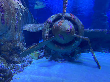 Jet engine of an underwater aircraft wreck.の写真素材