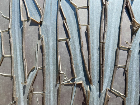 Sun-damaged pale blue plastic film peeling off stainless steel.