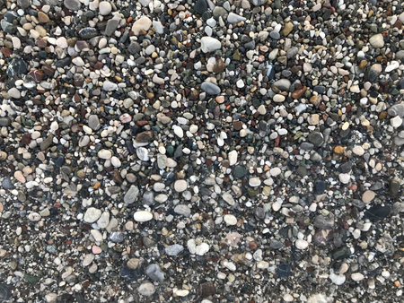 abstract background with dry round reeble stones.の写真素材