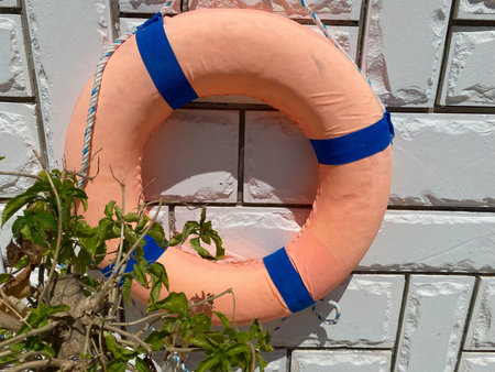 Lifebuoy on concrete wall background ..