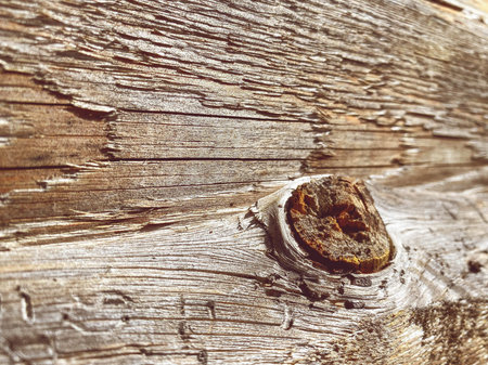 wooden texture. sticks and logs, natural material for building a house. wooden long sticks with a...