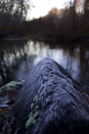 First frost of the year.の写真素材