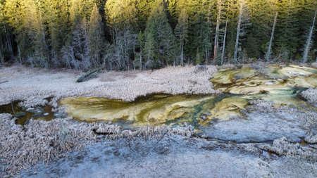 Rampart ridge at mt. Rainier national park. Frozen lava flow.の写真素材