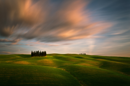 Val d'Orcia, Tuscany, Italy. April 01, 2014. Cypresses.のeditorial素材