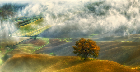 Crete Senesi.Fields near Asciano..Italy.Tuscanyの写真素材