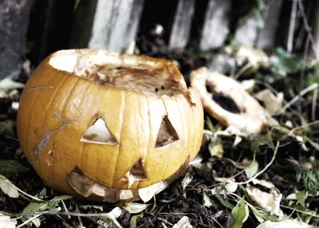 Putrid Pumpkin after Halloweenの写真素材