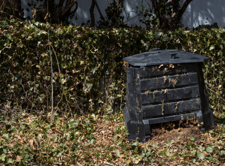 Compost bin surounded by ivyの写真素材