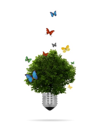 High resolution graphic of a lightbulb with tree growing inside surrounded by colorful butterflies. の写真素材