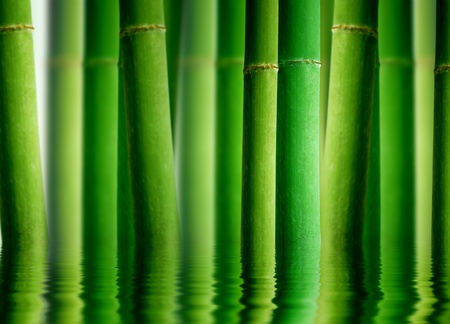High resolution graphic of a bamboo forest with water reflection. の写真素材
