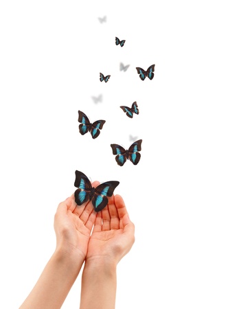 Hands holding a butterfly isolated on white background. の写真素材