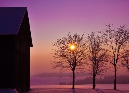Beautiful countryside winter sunset with backlit trees. の写真素材