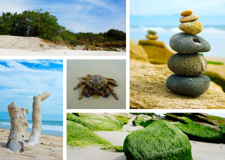 Ocean landscape collage with five different fotos. の写真素材