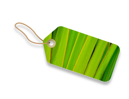 Palm tree leaf Price Tag Label on white background. 