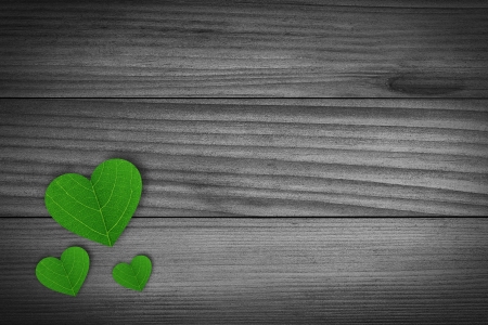 Green Pedal shaped hearts lying on a old piece of wood  の写真素材
