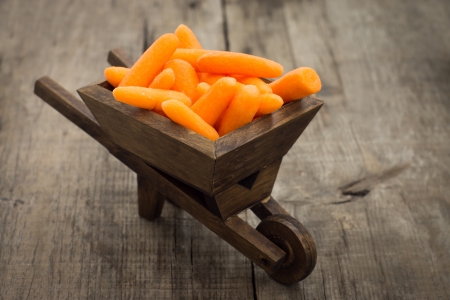 Fresh carrots in a miniature wheelbarrow on wooden background
の写真素材