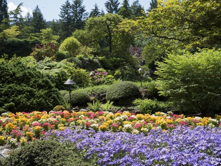 Gardens of blooming flowersの写真素材