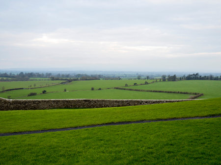 Green Fields in Irelandの写真素材