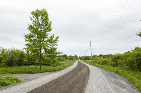 Barren gravel dirt road around a bend with a big tree and powerlines on each sideの写真素材