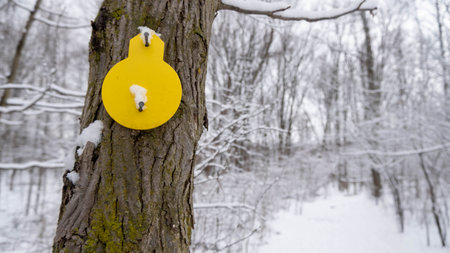 yellow trail marker nailed to snowy tree. Winter scene in forest with hiking trailsの写真素材