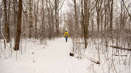 London, Canada, January 19, 2021: Editorial photo of a person walking through the forest on a cold winter day in London, Canada. Snow covered ground with bare trees. Bright winter coats.のeditorial素材