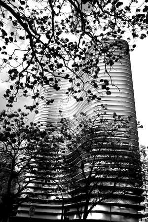 Beautiful Building Belo Horizonte and flowers in spring in Freedom Squareの写真素材