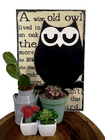 Owl Shape Blackboard And a cactus on a wooden tableの写真素材