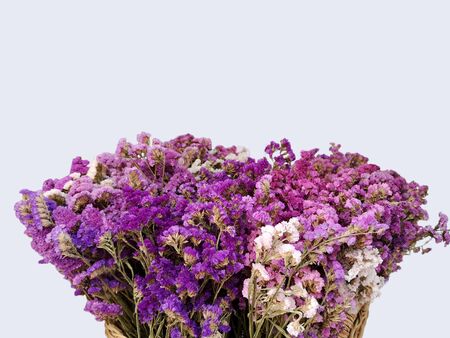 Purple and white statice flowers in basket isolated on white backgroundの写真素材