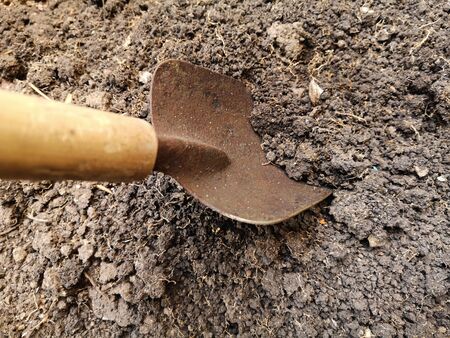 Shoveling the soil for gardening in soft focus and good soil for planting.の写真素材