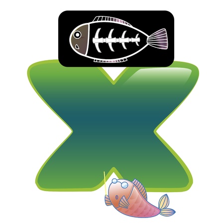 illustration of isolated animal alphabet X with X-ray fish on whiteのイラスト素材