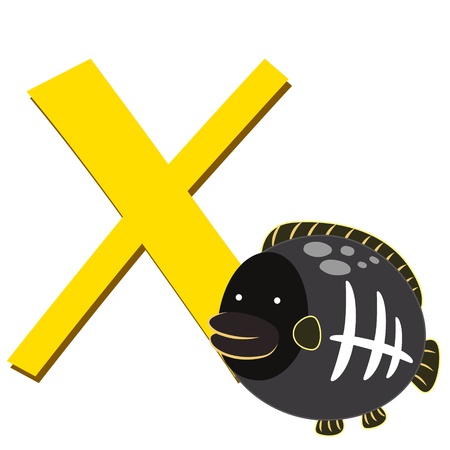 illustration of isolated animal alphabet X with x-ray fish on whiteのイラスト素材