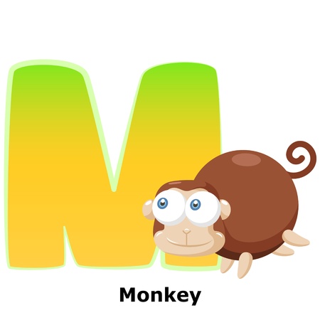 illustration of isolated animal alphabet M with monkey on whiteのイラスト素材