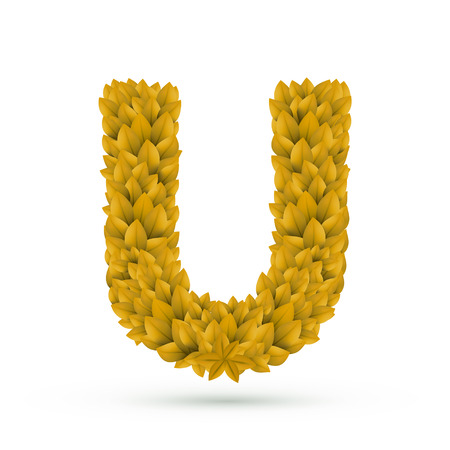3d yellow leaves alphabet U isolated on white backgroundのイラスト素材