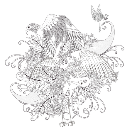 beautiful flying bird coloring page in exquisite lineのイラスト素材