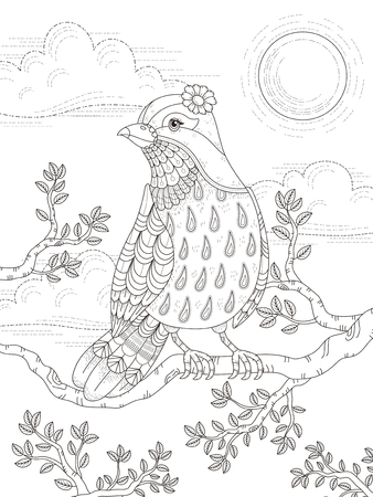 adult coloring page with lovely lady bird in the treeのイラスト素材