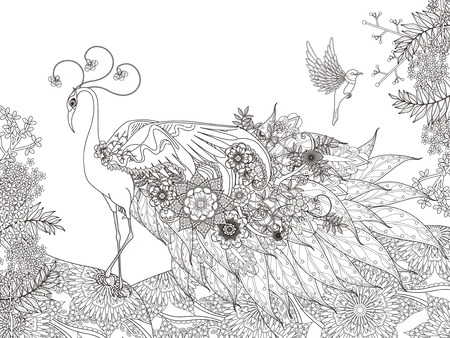 adult coloring page - gorgeous floral feather peacockのイラスト素材