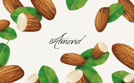 almond and leaf elements, can be used as natural background, 3d illustrationのイラスト素材