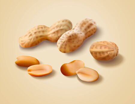 Dried peanut with shell in 3d illustrationのイラスト素材