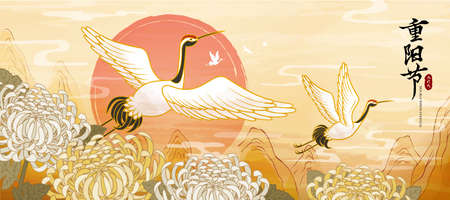 Double ninth festival greeting banner, flying Chinese cranes with chrysanthemum, Translation: Double ninth festivalのイラスト素材