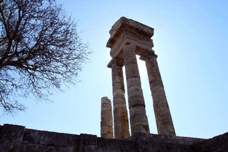 Ancient ruins and a tree の写真素材