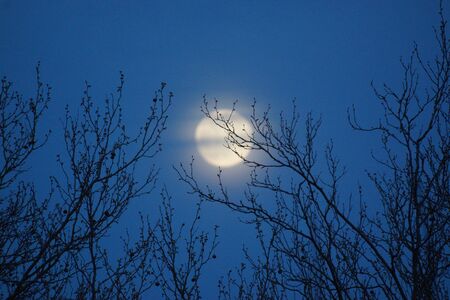 Supermoon pink full moon 8 April 2020 in France. It occurs when the full moon is at its closest point to the Earth in its monthly orbit. Full moon. A huge moon.の写真素材