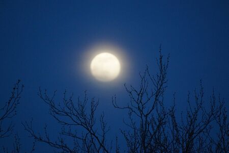 Supermoon pink full moon 8 April 2020 in France. It occurs when the full moon is at its closest point to the Earth in its monthly orbit. Full moon. A huge moon.の写真素材