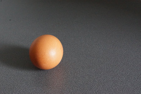 An egg rests gently on a neutral surface, highlighting its perfect curves and smooth shell.